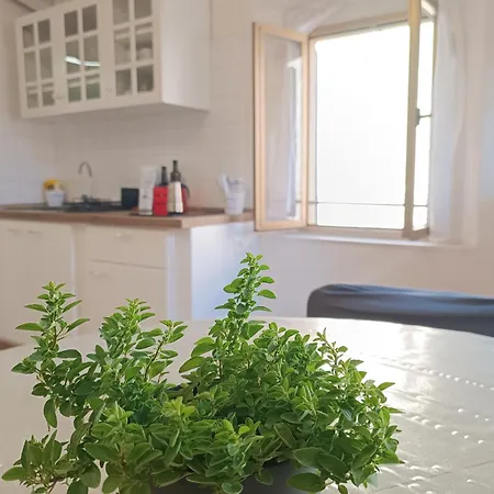 Apartman Nido Del Poeta *
